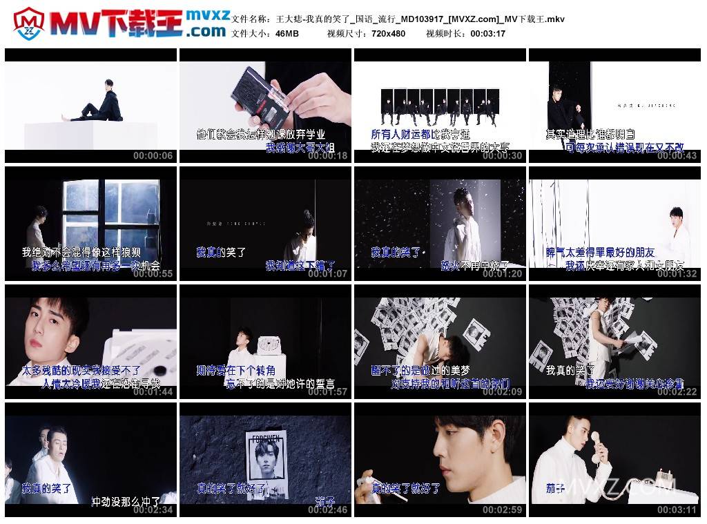 王大痣-我真的笑了_国语_流行_MD103917